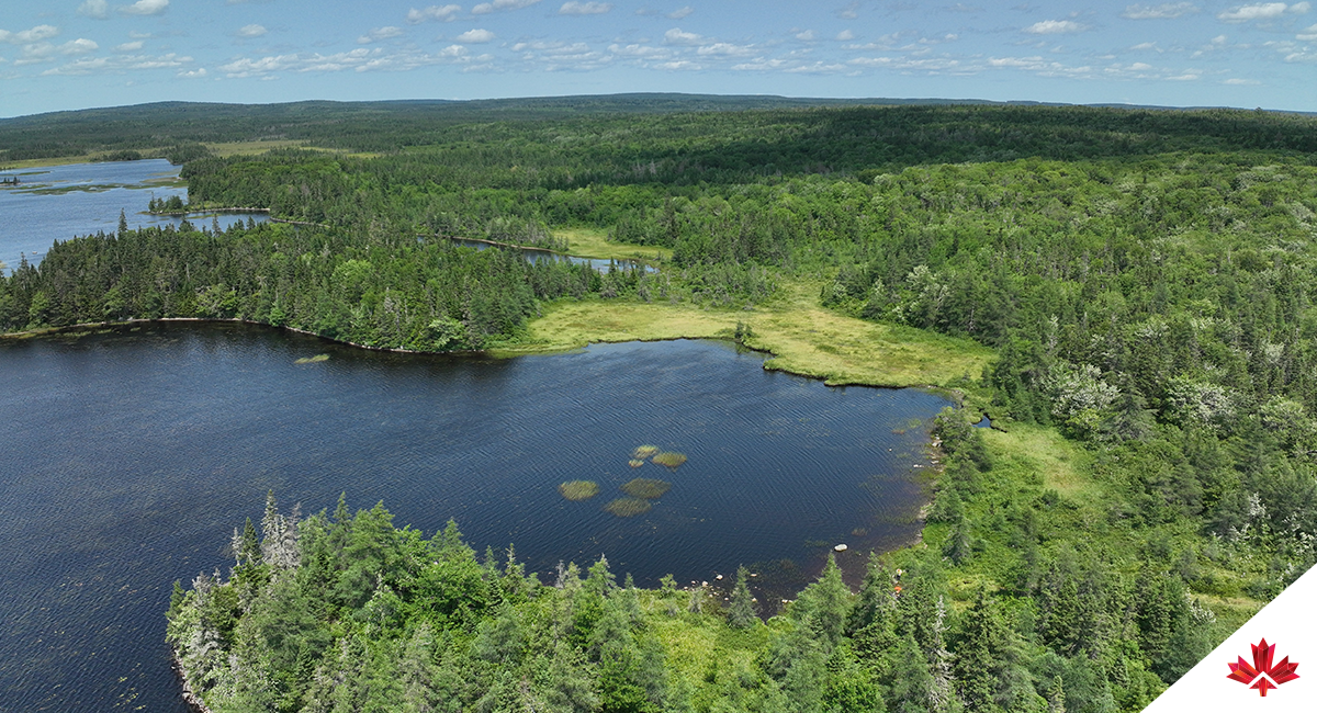 Une vue aérienne montrant un plan d’eau et des forêts l’entourant, qui sera l’emplacement du futur site du parc d’énergie renouvelable de Simply Blue Group.